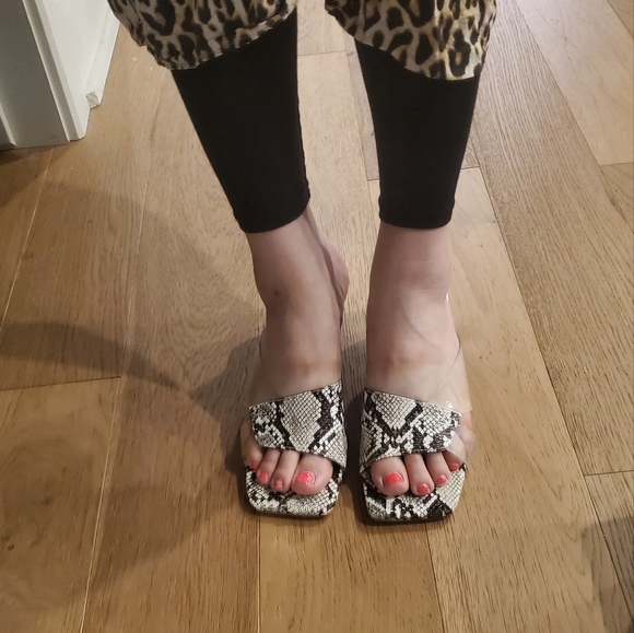 Snake print slide - Picture 1 of 5